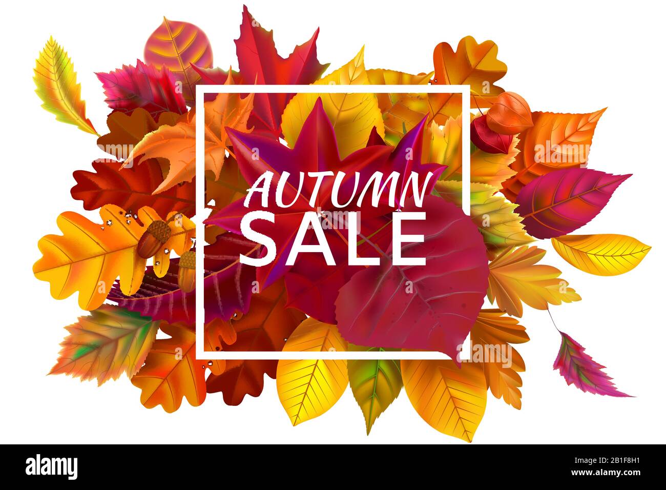 Fall sale banner. Autumn season sales, autumnal discount and fallen leaves banners frame vector illustration Stock Vector