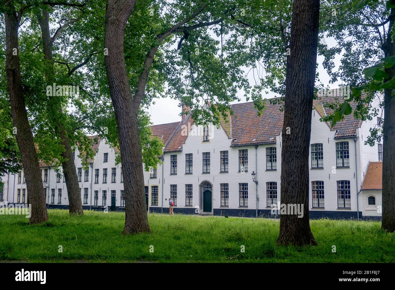 The beguinage of Bruges is a peaceful spot in the city center of Bruges. A row of white painted houses stands along a garden with trees. Stock Photo
