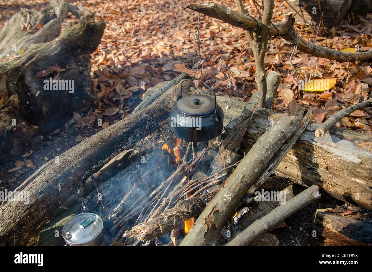 Making Tea in Camping Stock Photo Alamy
