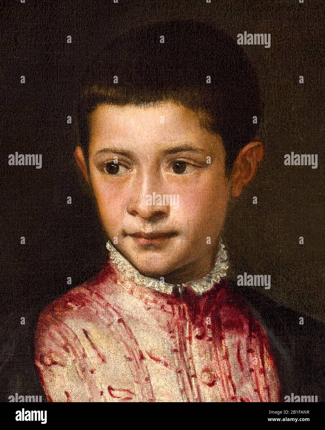 Ranuccio Farnese (1530-1565), later, Cardinal of Santa Lucia in Selci, portrait painting detail by Titian, 1542 Stock Photo