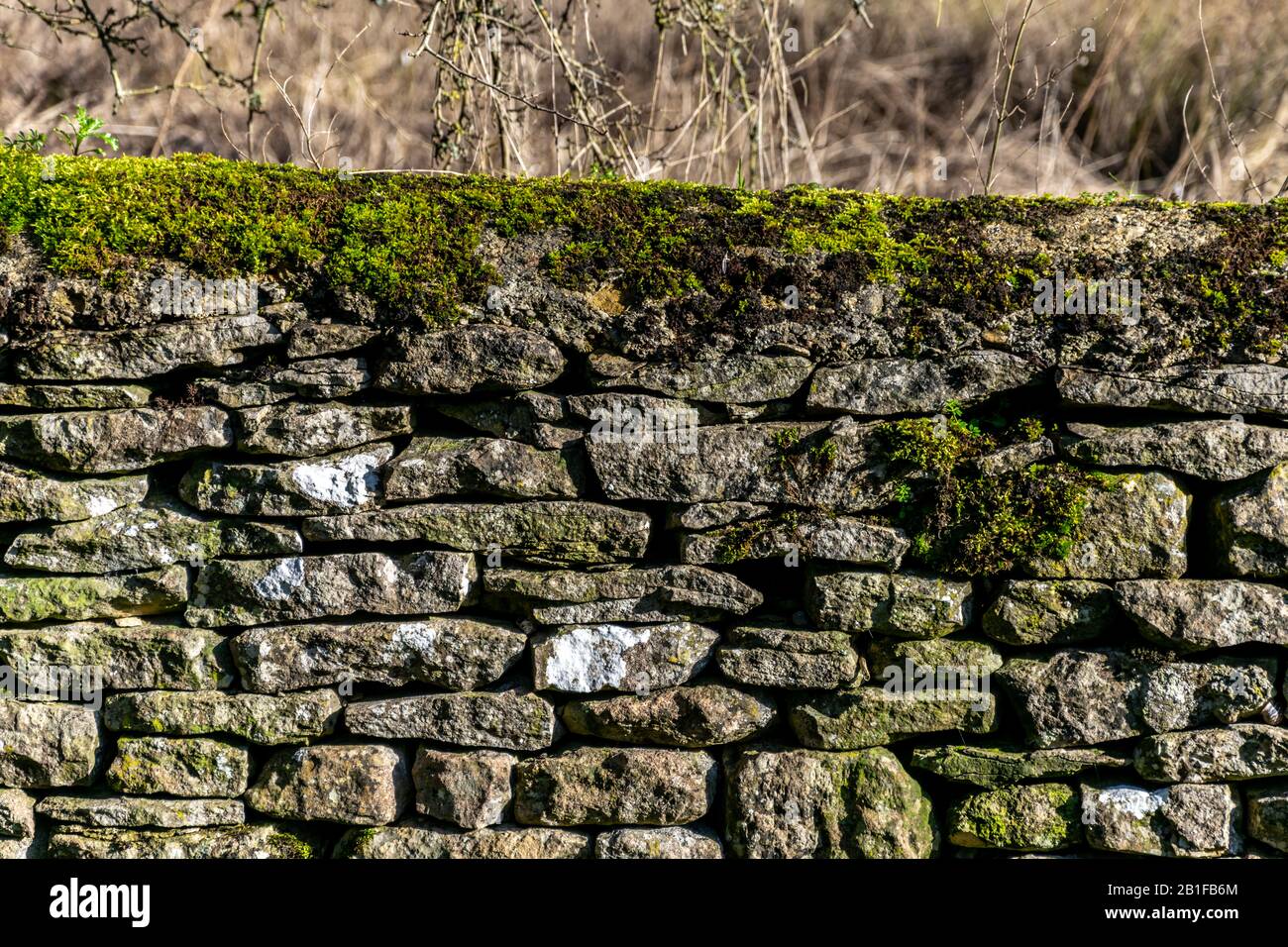 Old Cotswold dry stone wall with moss Stock Photo