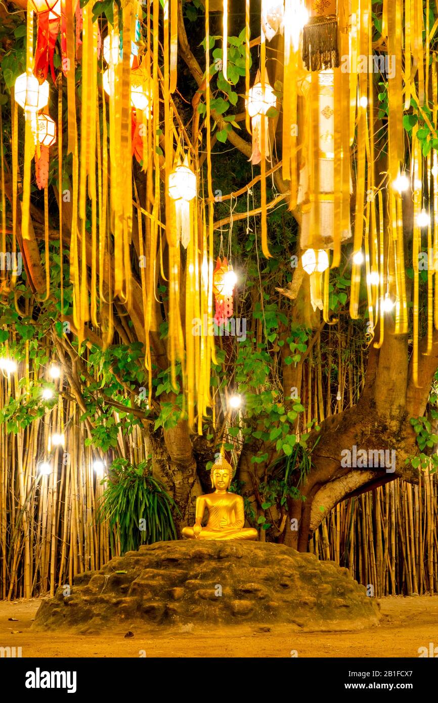 Buddha image sitting under a Bodhi tree in Wat Phan Tao, Chiang Mai, Thailand Stock Photo