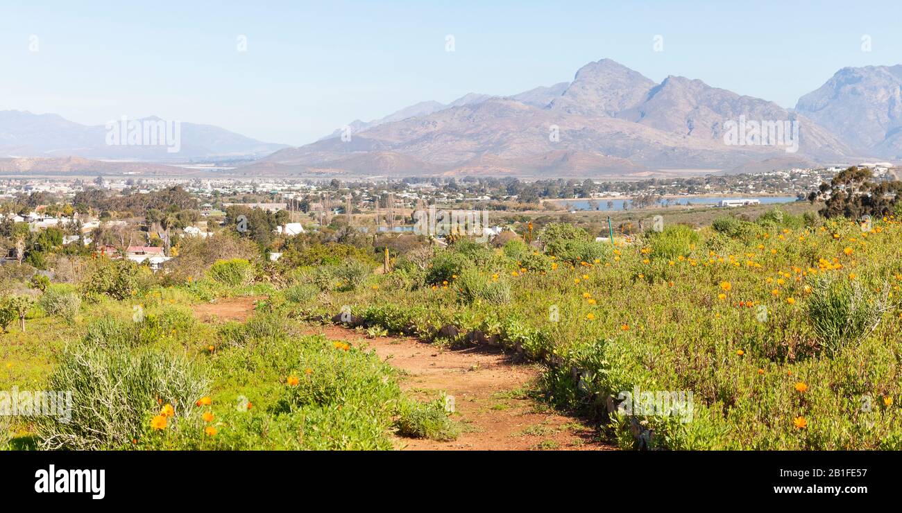 Panorama view of Worcester, Western Cape, South Africa from a hiking trail in the Karoo Desert National Botanical Garden with Du Toitskloof Mountains Stock Photo