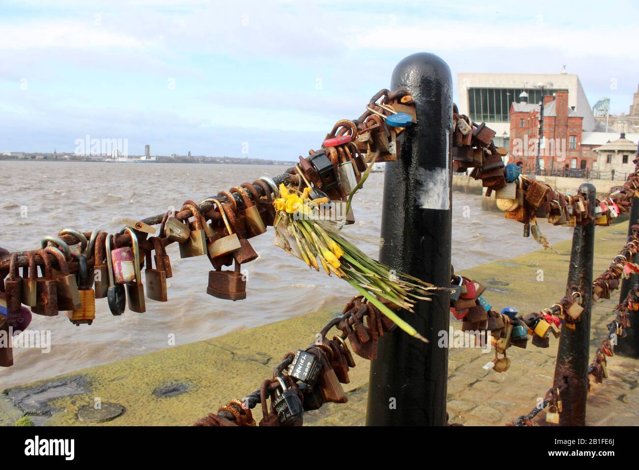 thousands of padlocks attached to railings at liverpool albert docks