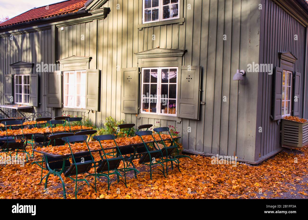 Cafe Ektorpet terrace covered in autumn leaves, Prins Eugens Waldermasudde, Djurgarden, Stockholm, Sweden Stock Photo