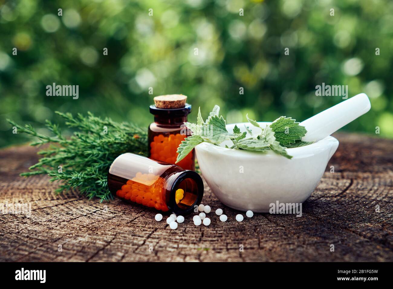 Bottle of homeopathic globules, mortar of green nettle and mint leaves, juniper twigs. Homeopathy medicine remedies. Selective focus, toned image. Stock Photo