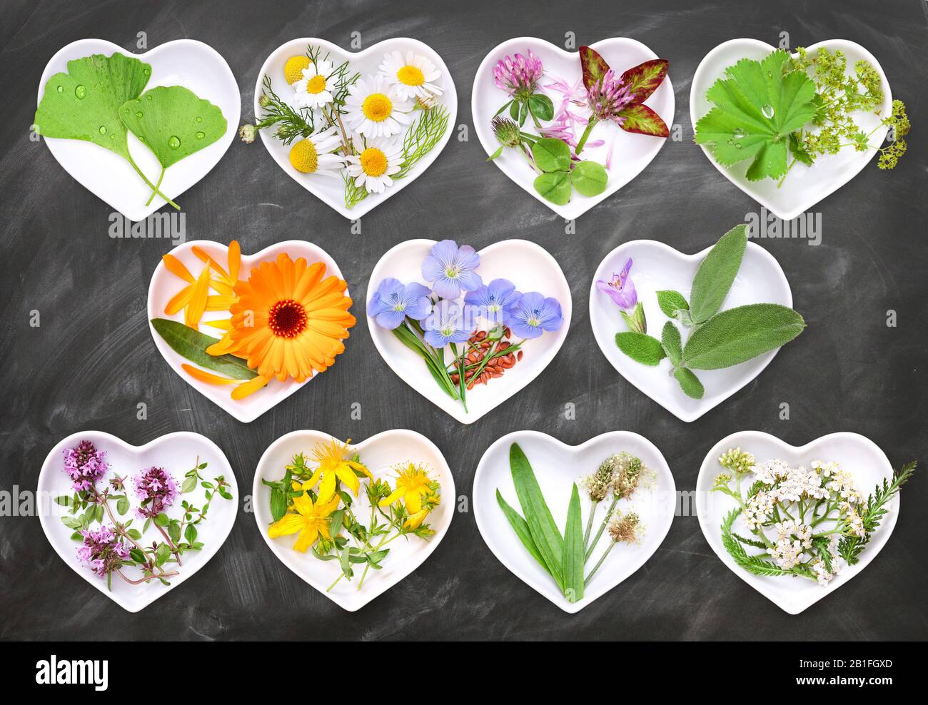 Alternative Medicine with medicinal plants 1 Stock Photo