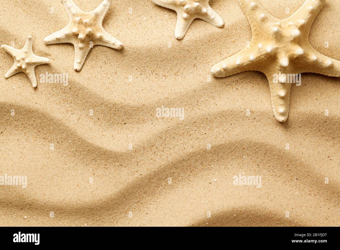 Starfishes on sand background. Top view. Flat lay Stock Photo