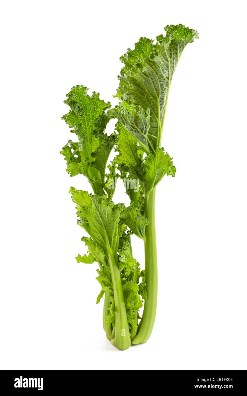Fresh  rapini or broccoli rabe  isolated on white background Stock Photo