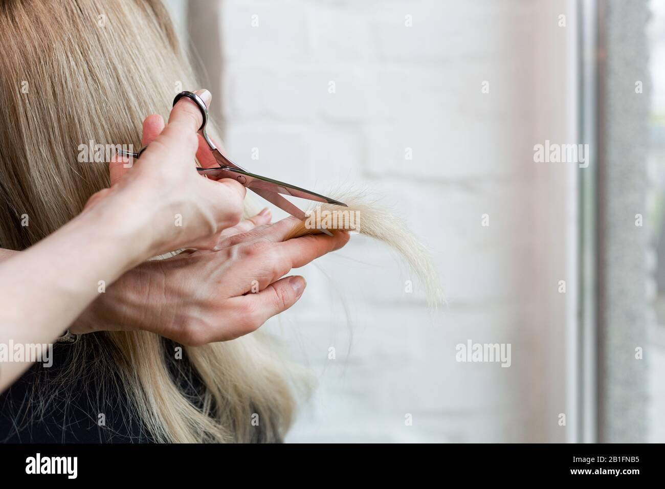 Female Hairdresser Doing Haircut On Blonde Hair Keratin