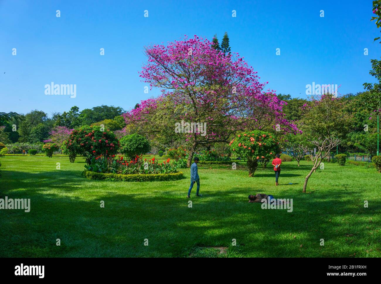 Visitors relaxing in the manicured garden of Cubbon Park in Bangalore