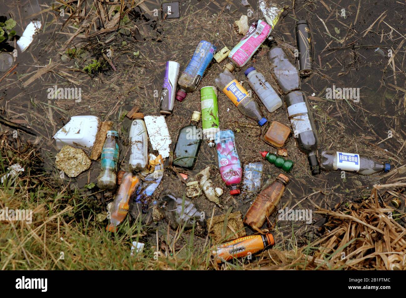 environmental plastic pollution plastic bottles litter in the forth and clyde canal Stock Photo