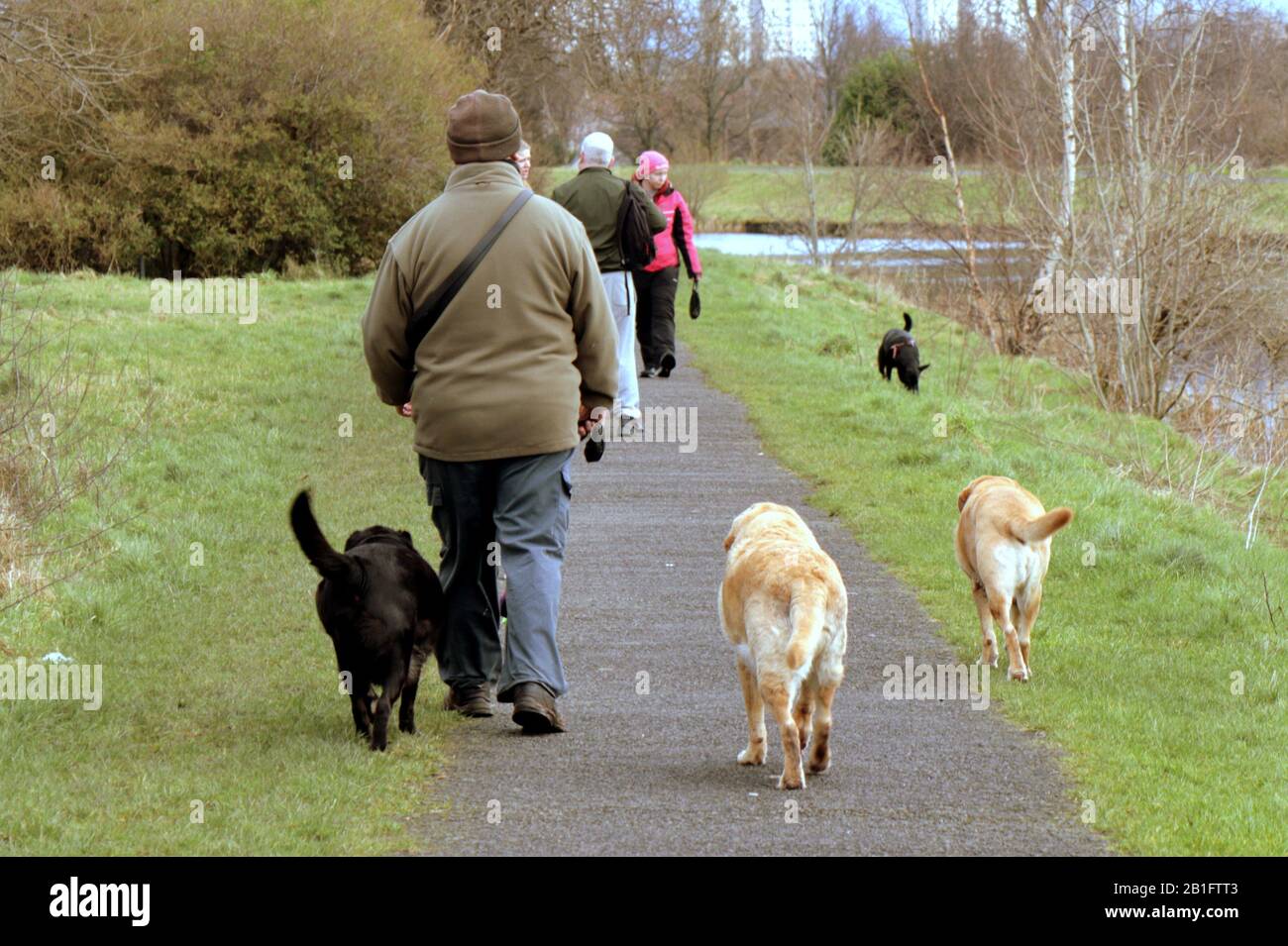 dog walkers on the tow path of the forth and clyde canal Glasgow