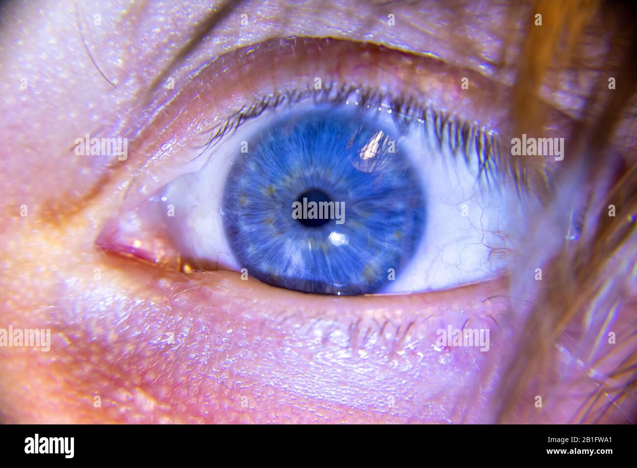 Blue colored eye Stock Photo