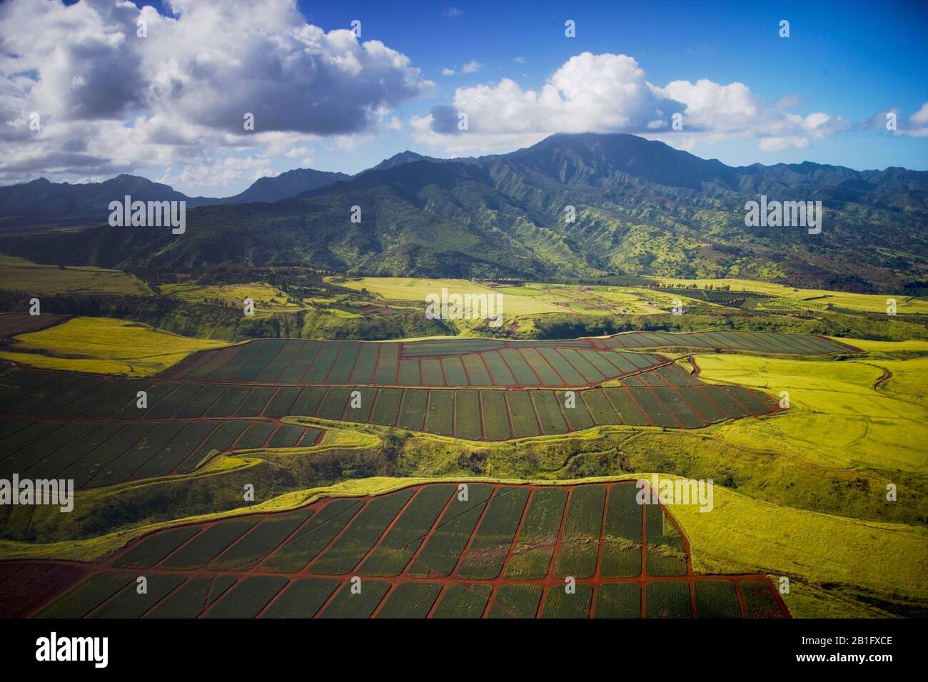 USA - 2005 - Aerial view of pineapple fields in Oahu Hawaii USA Stock Photo