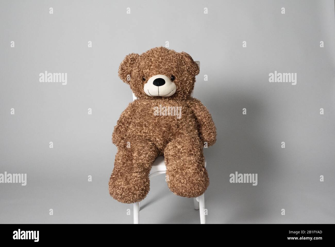Teddy Bear. Brown teddy bear on gray background Stock Photo - Alamy