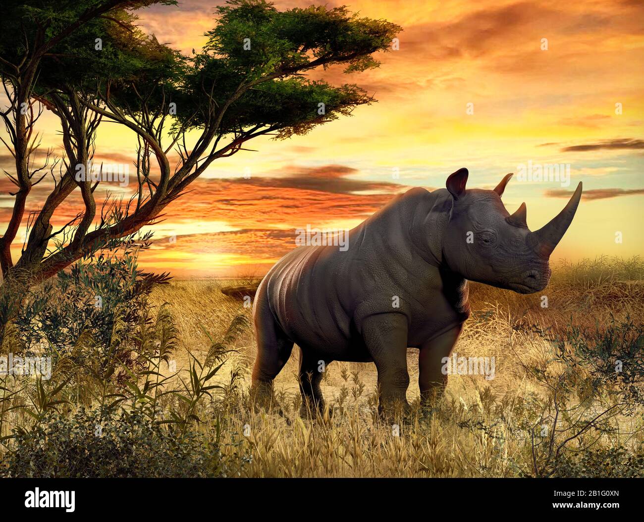 Rhino 3d hires stock photography and images Alamy
