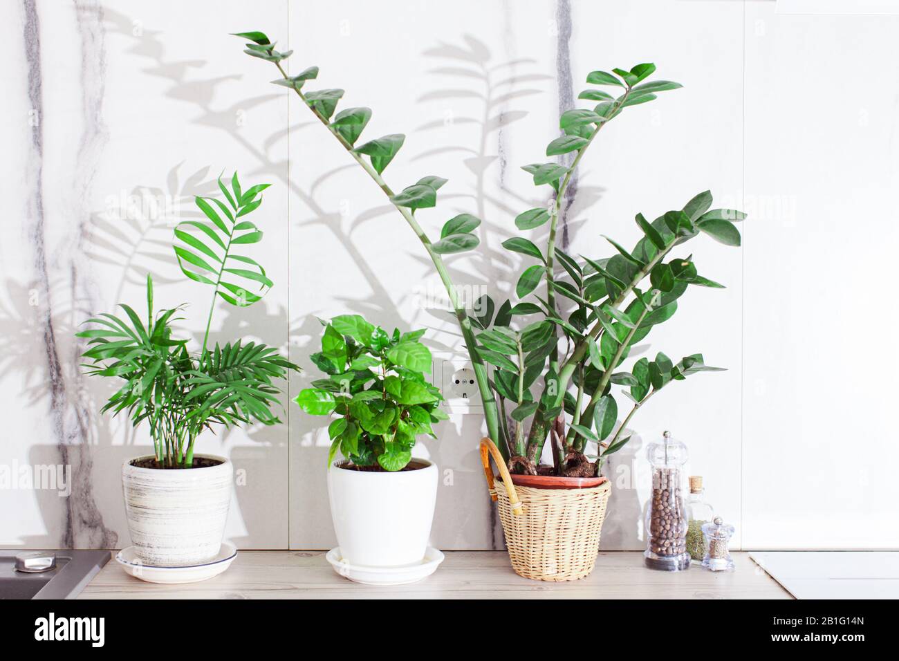 Flower pots on the white worktop in cozy kitchen Stock Photo Alamy