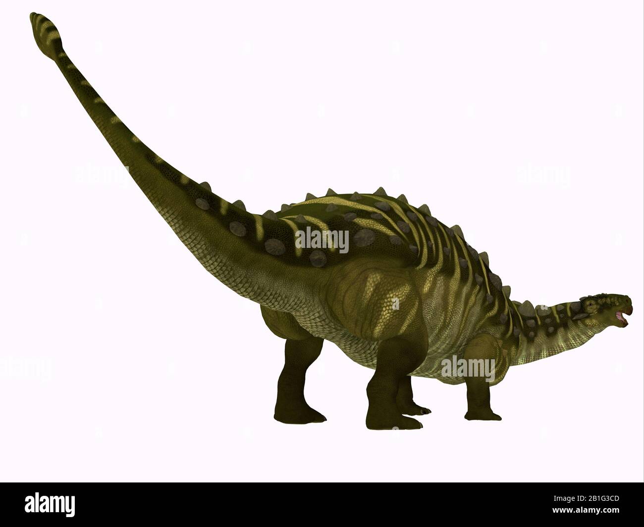 Talarurus was a herbivorous armored dinosaur that lived in Mongolia during the Cretaceous Period. Stock Photo