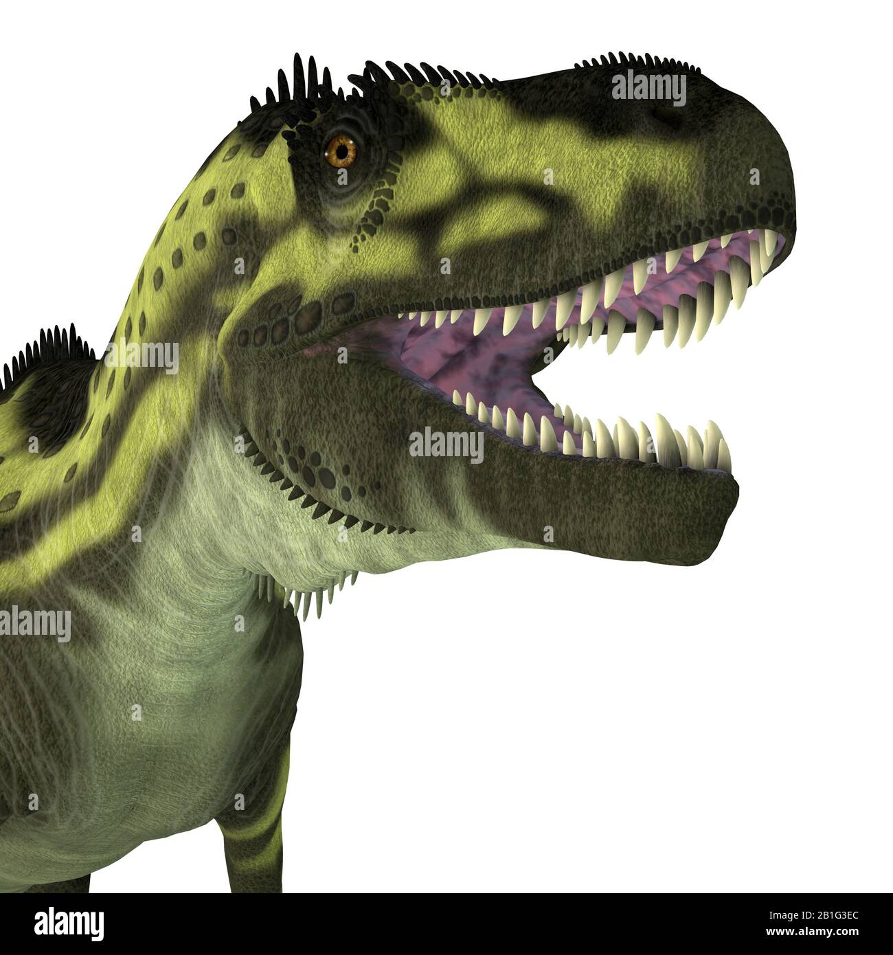 Torvosaurus was a carnivorous theropod dinosaur that lived in Colorado and Portugal during the Jurassic Period. Stock Photo
