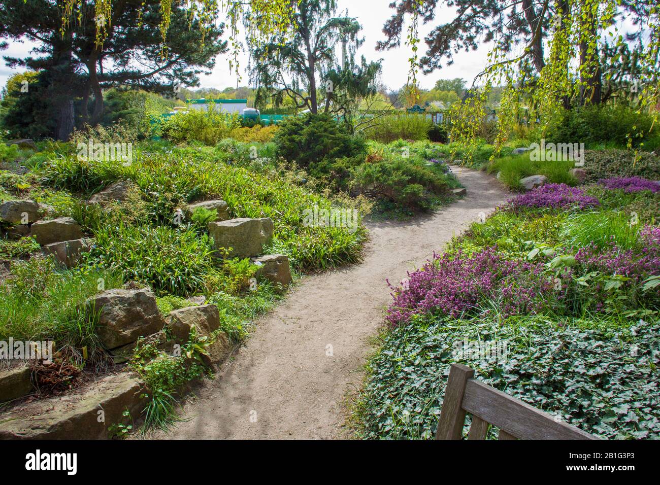 Stones and awe plants  for beauty landscape  - idyllic springtime at garden near Karl Foerster house at Potsdam Stock Photo