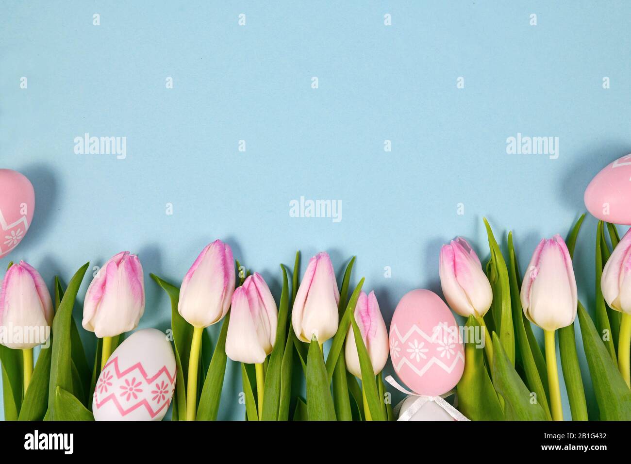White and light pink tulip spring flowers and cute easter eggs in a row ...
