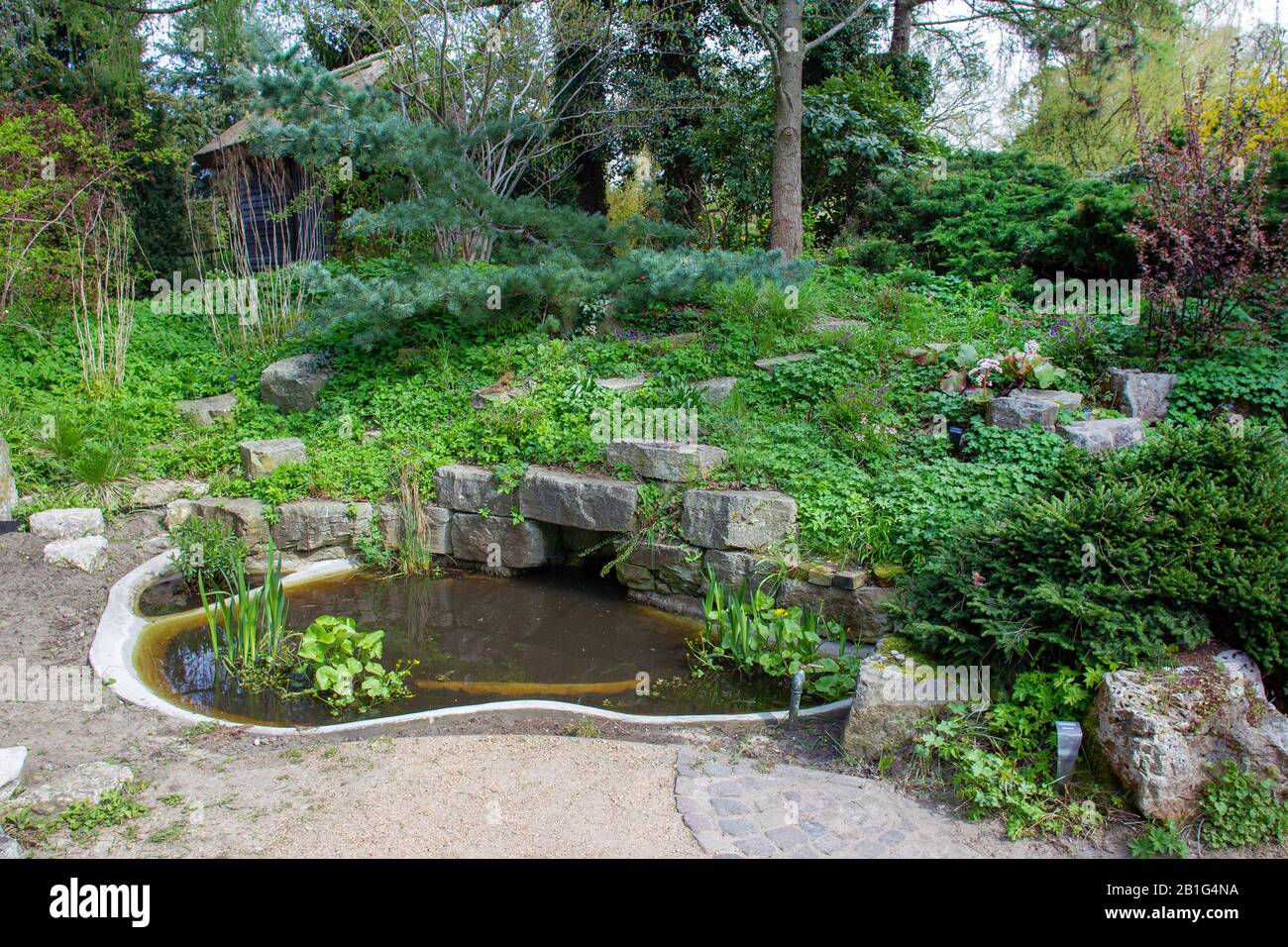 water and  Stones and awe plants  for beauty landscape  - idyllic springtimу at garden near Karl Foerster house at Potsdam Stock Photo