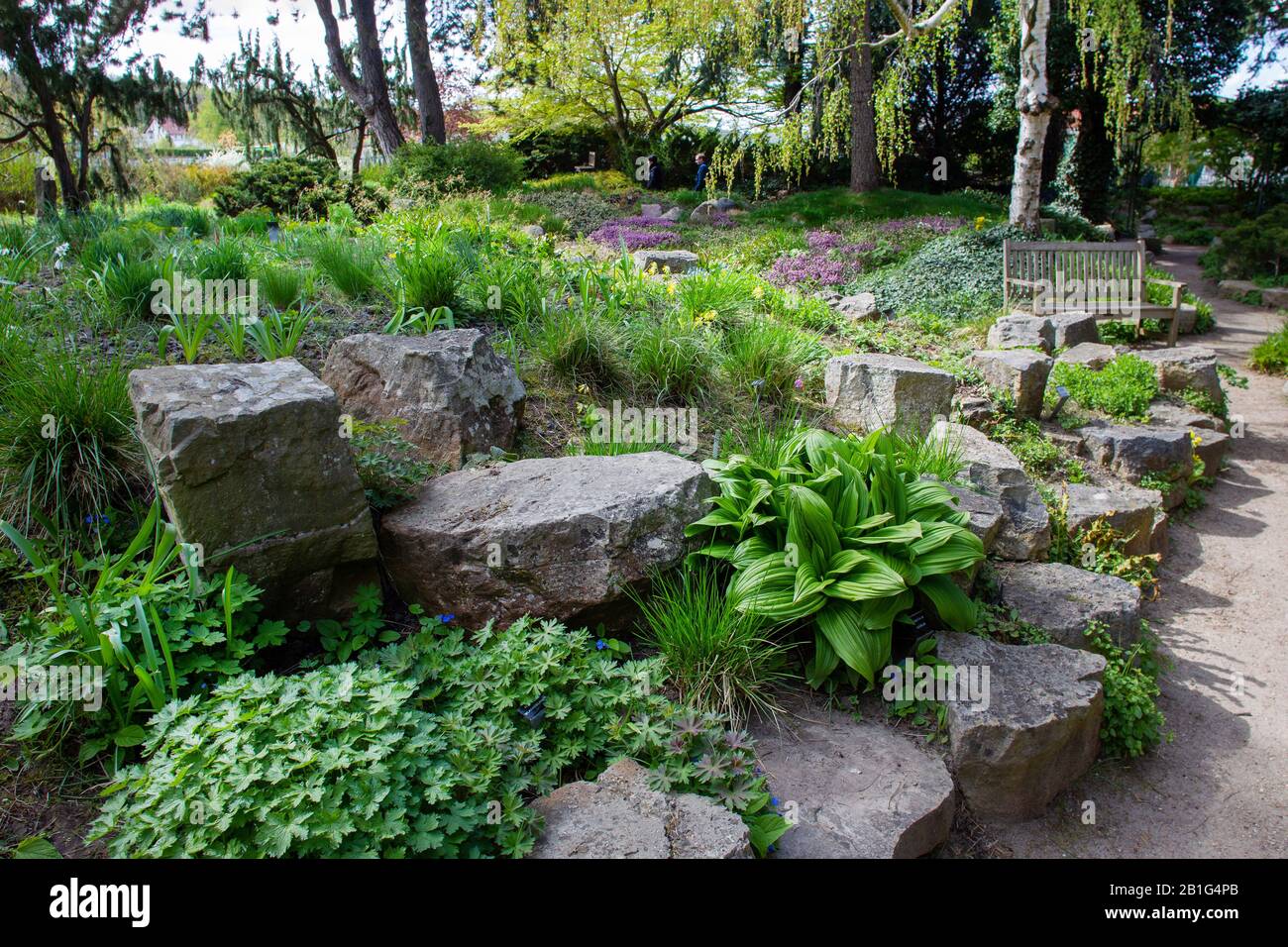 divine  plants and   park   near Karl Foerster  house  .  Idyllic springtime AT POTSDAM , Germany. Stock Photo