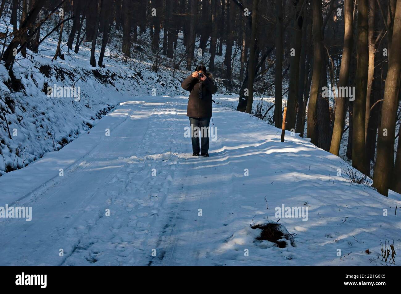 Photographer takes pictures in snowy forest in winter, Vitosha mountain, Bulgaria Stock Photo