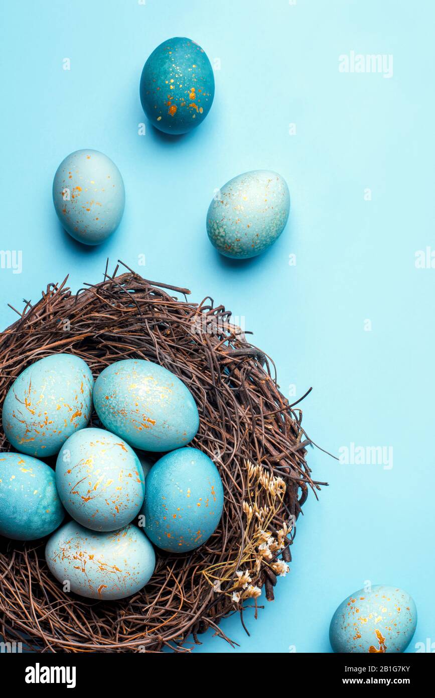 Easter eggs in nest on blue background Stock Photo - Alamy