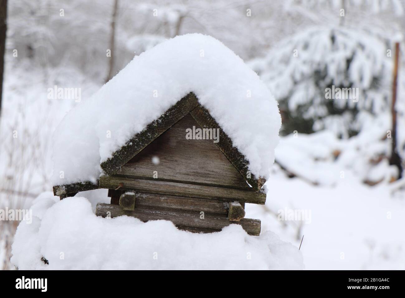 Snow covered bird house. Stock Photo