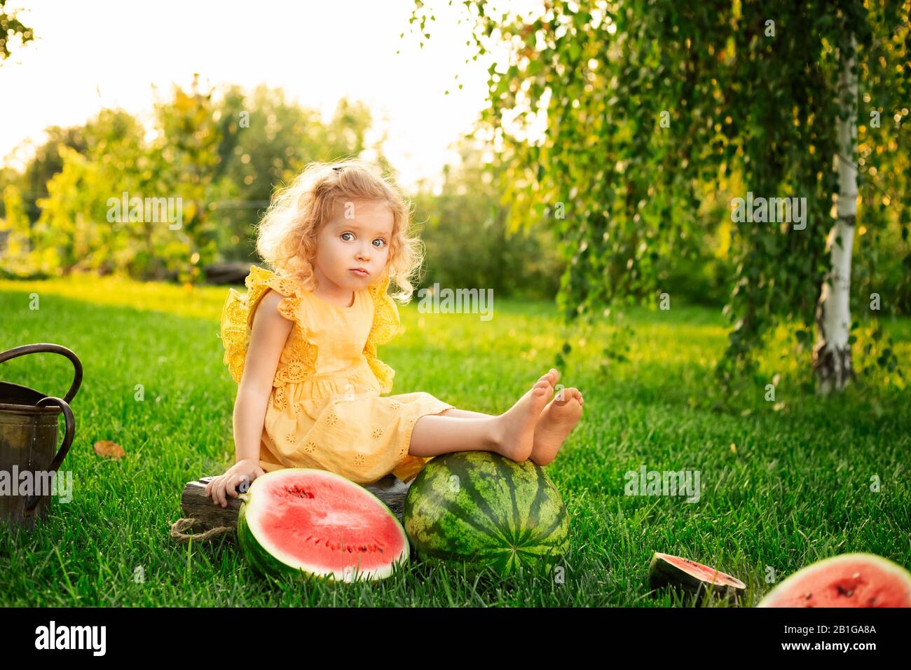 Portrait of a beautiful white blonde baby girl with watermelons in garden in summer at sunset. Happy childhood. Watermelon harvest. Cute child in Stock Photo