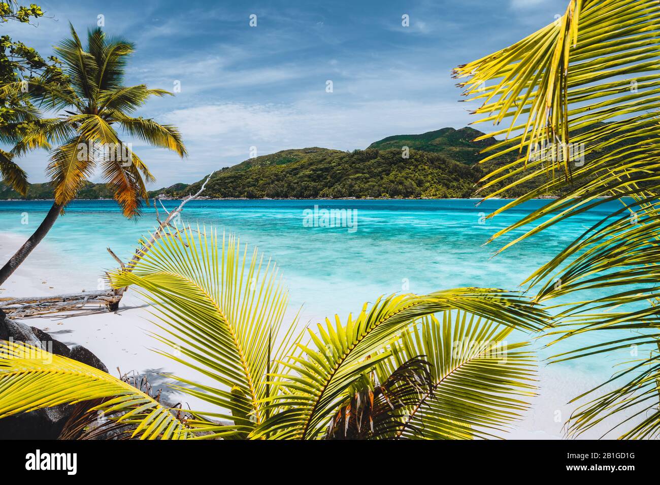Vacation Holiday Background Exotic Wallpaper Palm Trees On Tropical Beach Blue Ocean Lagoon And Sky With White Clouds Stock Photo Alamy Vacation Holiday Background Exotic Wallpaper Palm Trees On Tropical Beach Blue Ocean Lagoon And Sky With White Clouds Stock Photo Alamy