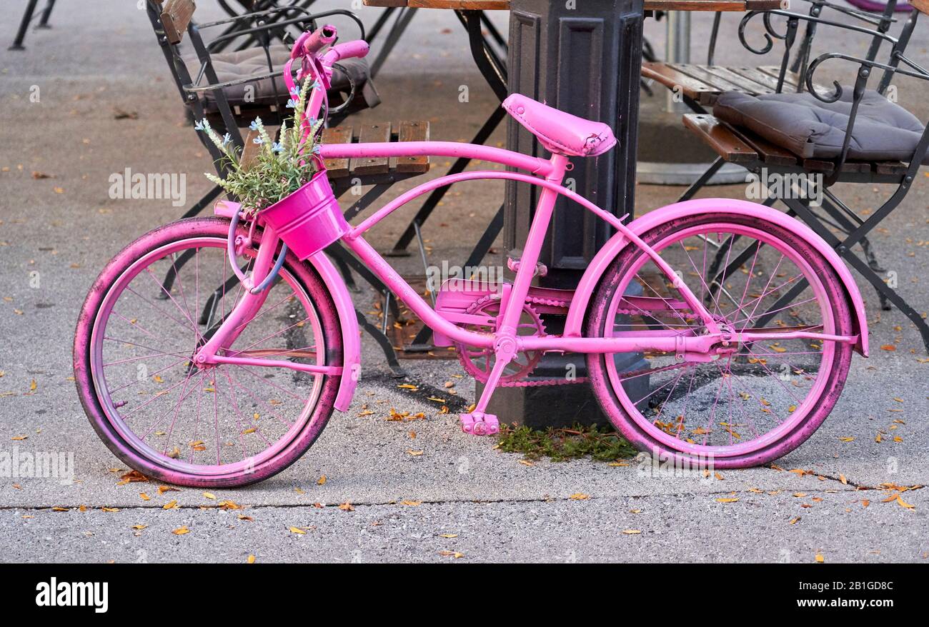 pink vintage bike