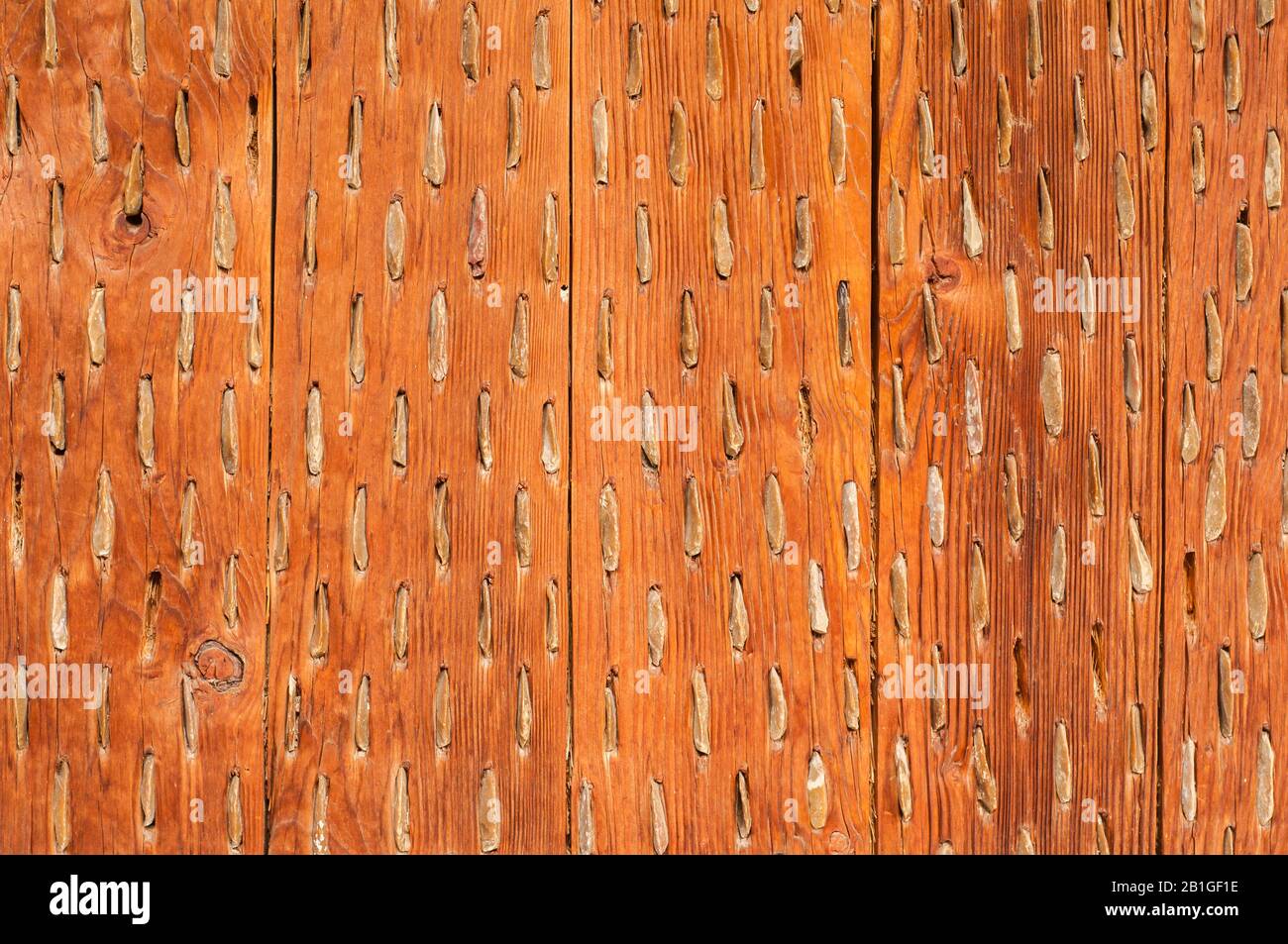 Bottom view of Spanish threshing board closeup as rural wooden background Stock Photo