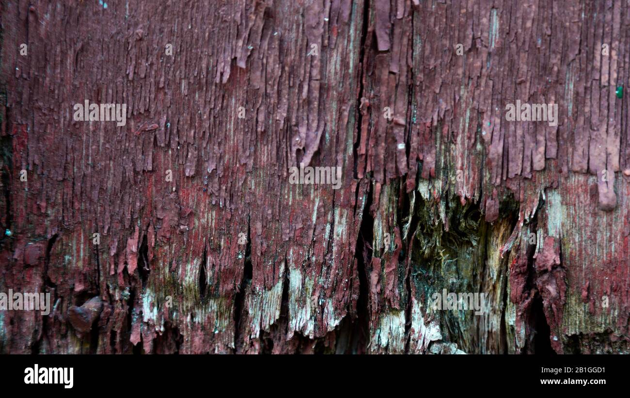 wood facade on a house which is rotten in the bottom needing replacement repair. falling apart. Stock Photo