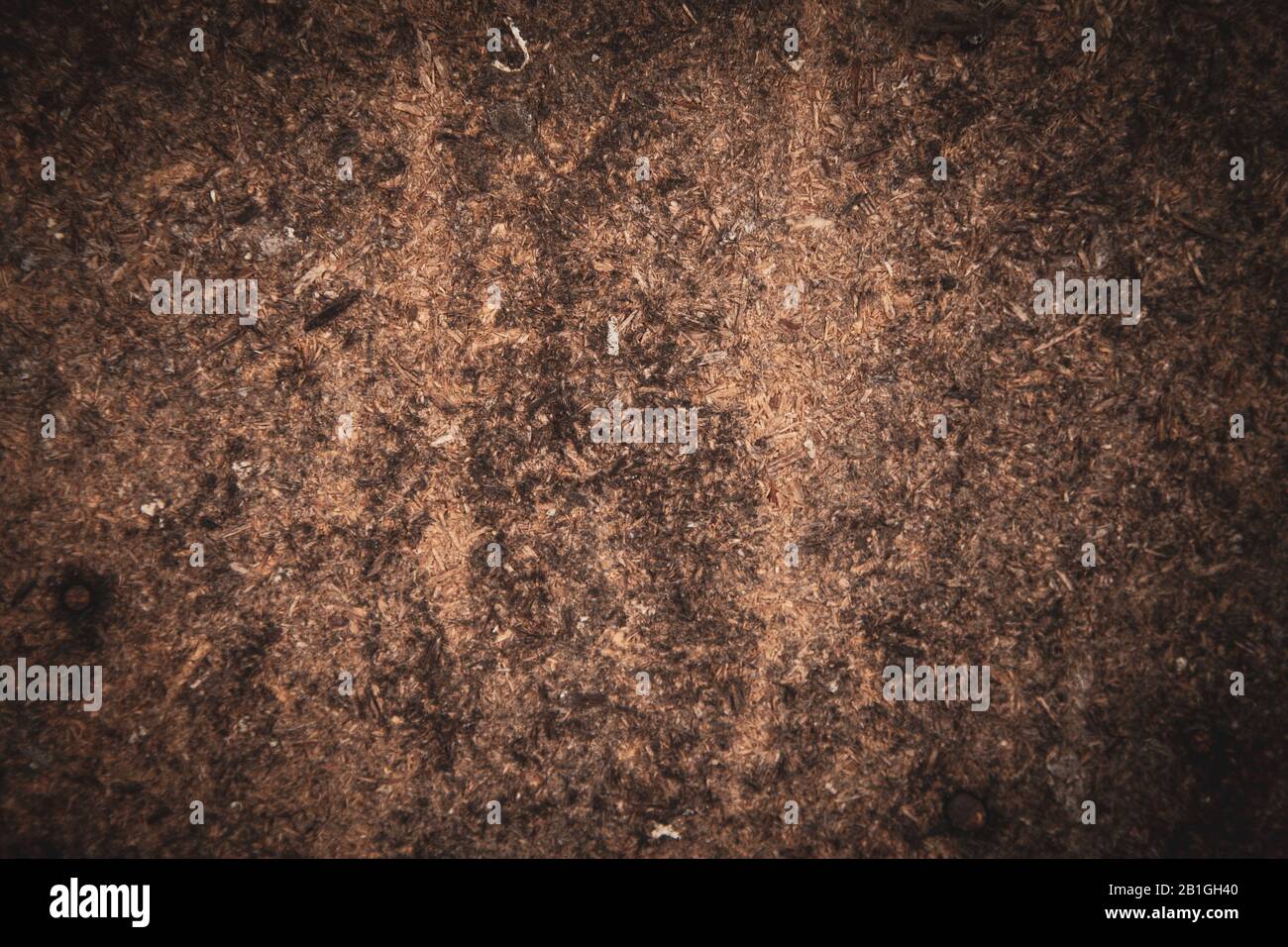 Sawdust floor hires stock photography and images Alamy