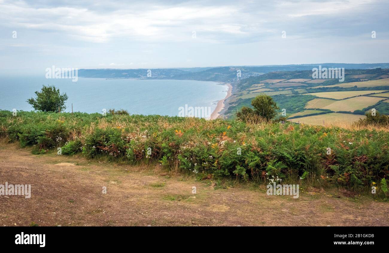 Green fields on a hill with the sea English Channel and English countryside in the background. Golden Cap on jurassic coast in Dorset, UK. Photo with Stock Photo