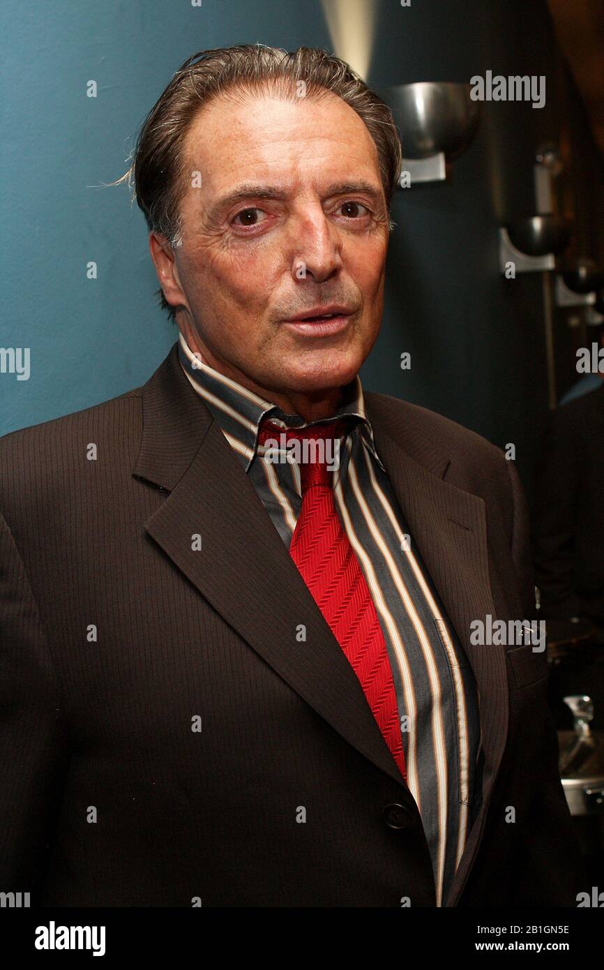 New York, NY, USA. 17 March, 2009. Actor, Armand Assante at the MDG Awards Global Launch Event at The United Nations. Credit: Steve Mack/Alamy Stock Photo