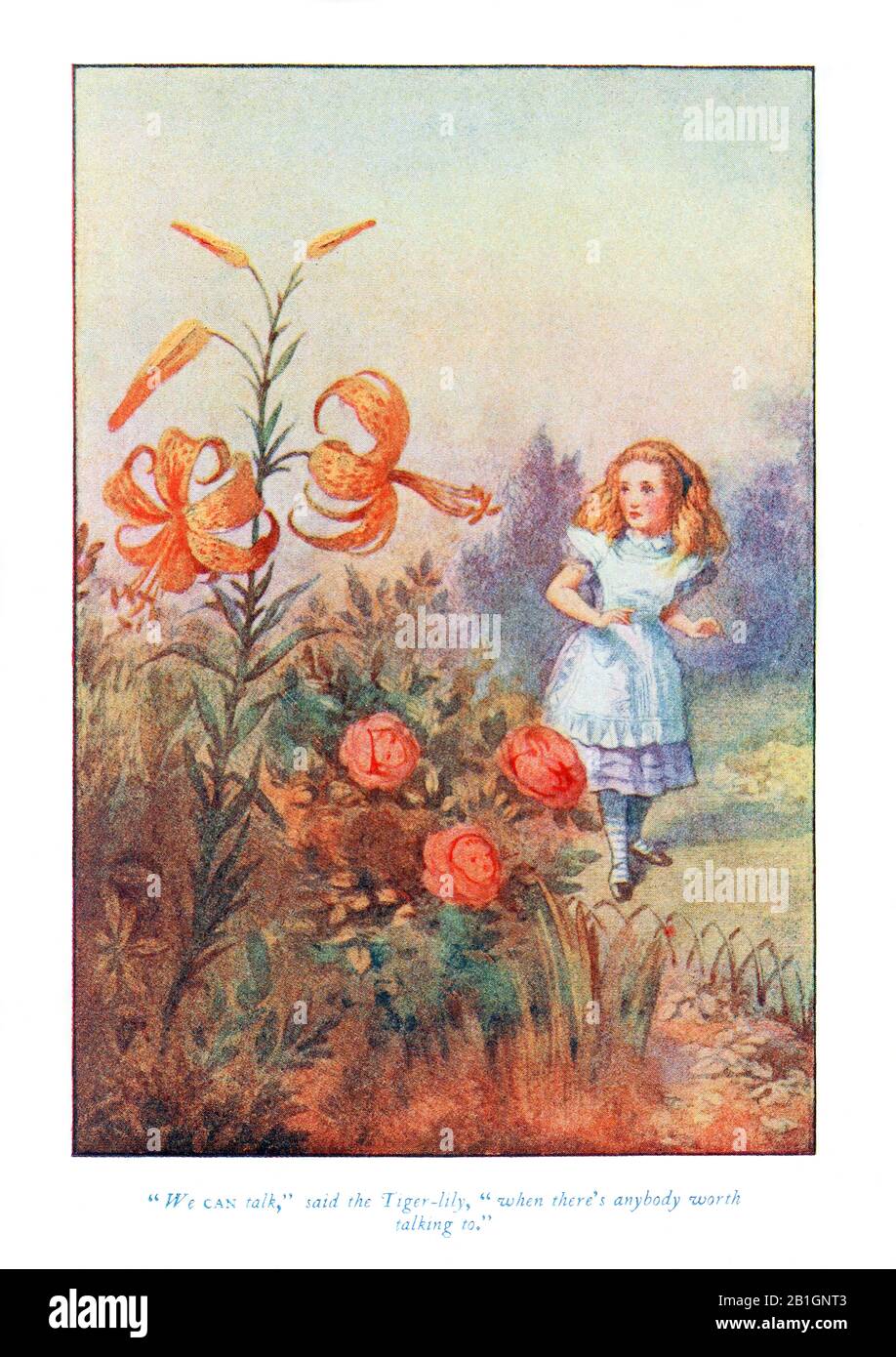 We can talk said the Tiger Lily from Alice in Wonderland by John Tenniel Stock Photo