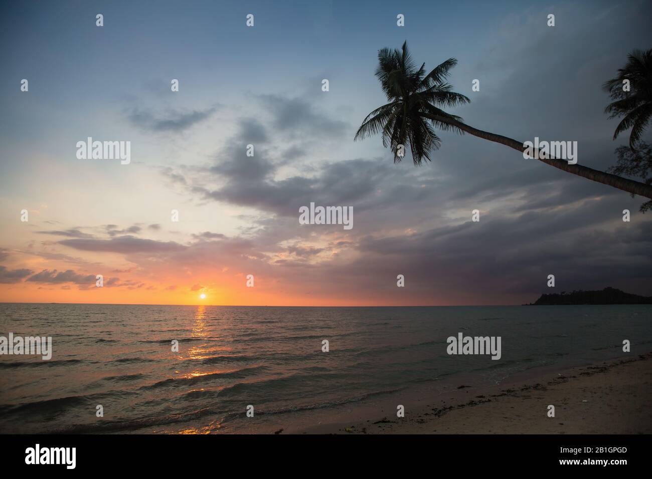 Palm tree silhouette on a tropical beach during amazing sunset Stock ...