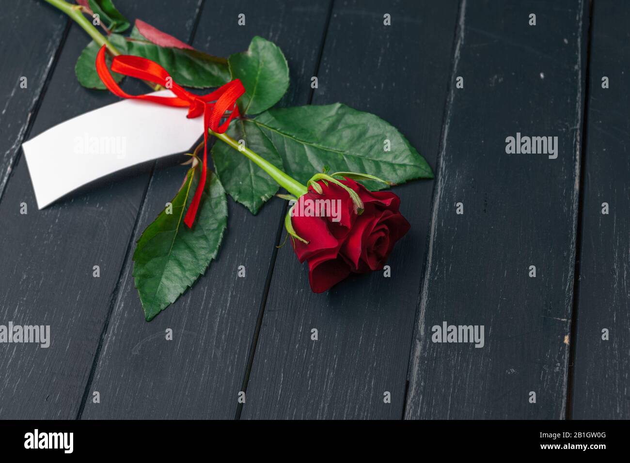 Red roses with message card. Valentines Day background Stock Photo - Alamy