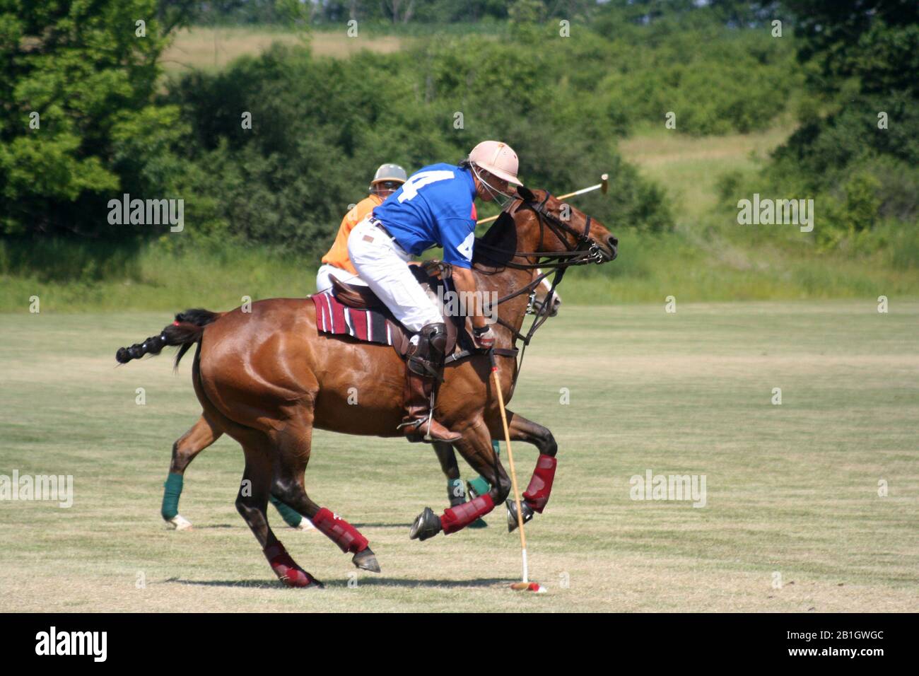 Polo match in Port Hope Ontario Stock Photo