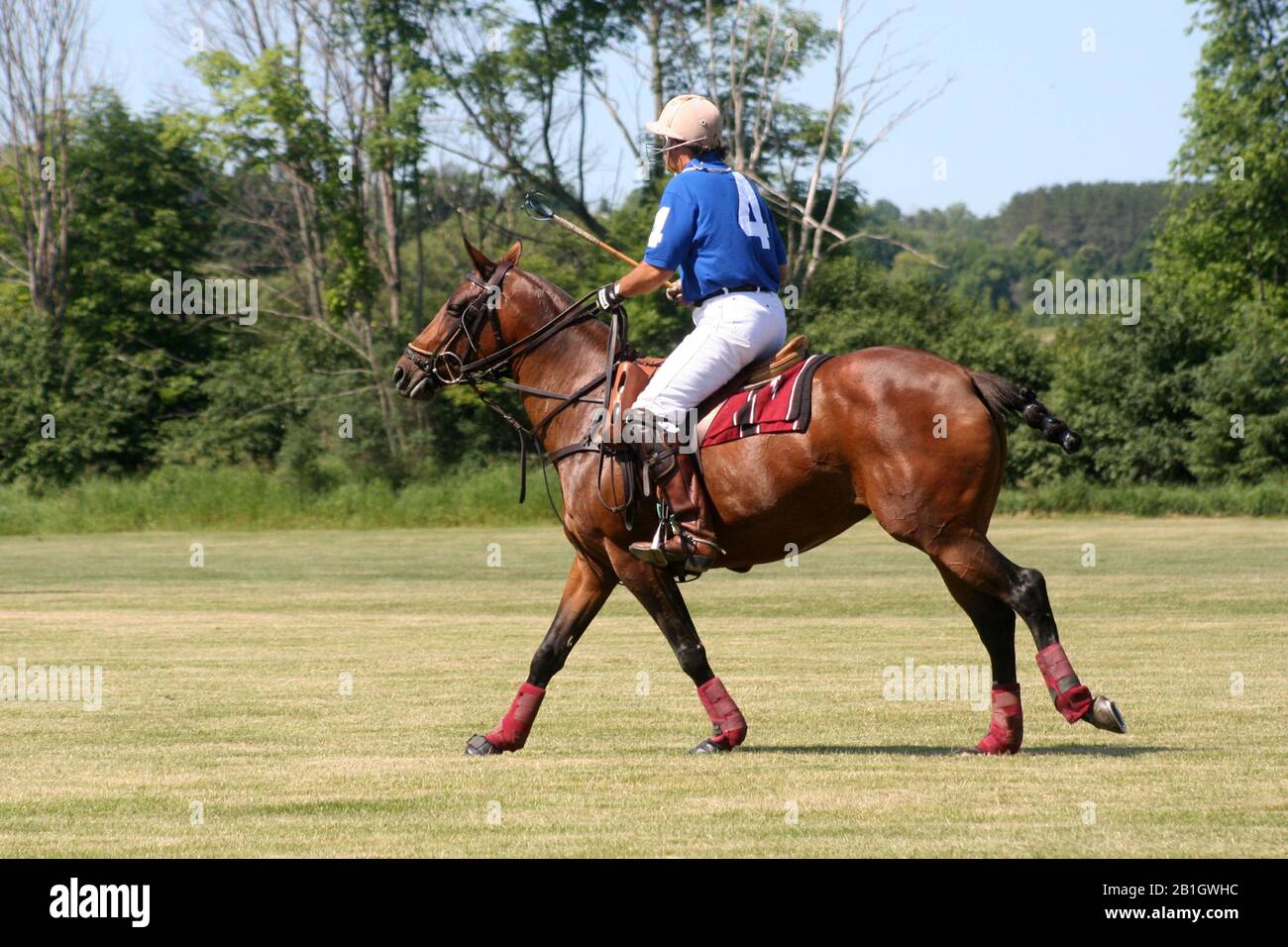 Polo match in Port Hope Ontario Stock Photo
