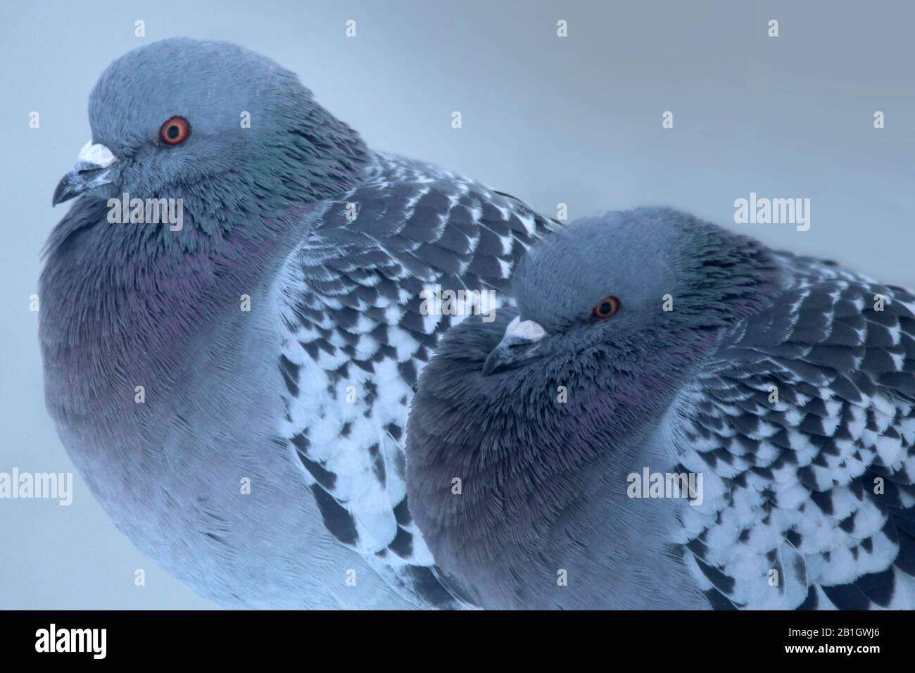 Eat Just High Resolution Stock Photography And Images Alamy