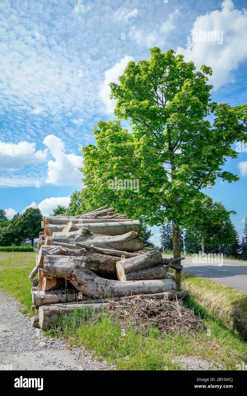 Stack of wood alongside a road in the foothills of the Bavarian Alps, Germany, Bavaria, Peissenberg Stock Photo