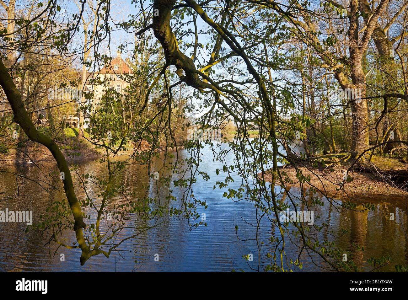 Lake Aspelsches Meer in spring, Germany, North Rhine-Westphalia, Lower Rhine, Rees Stock Photo