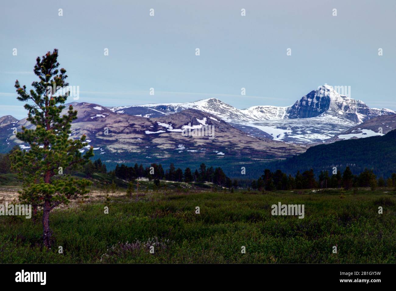 evening mood at the Rondane National Park, Norway, Rondane National Park, Grimsbu Stock Photo