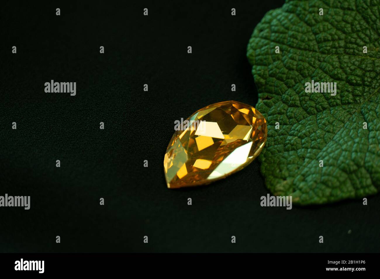 yellow gold gem stone luxury jewelry with natural leave on fashion black background Stock Photo