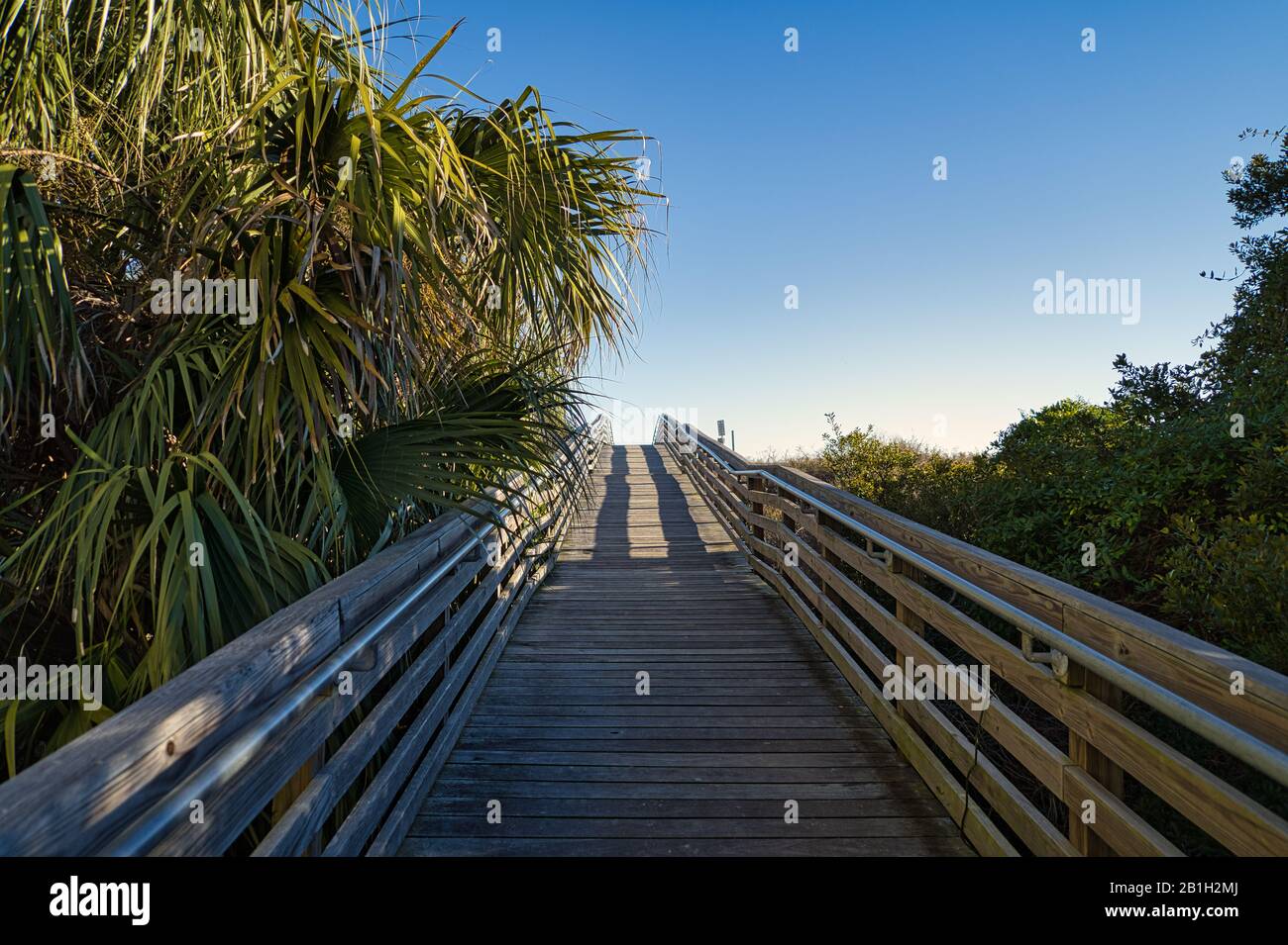 A lonely wooden bridge with shrubs on the side that leads to the beach Stock Photo